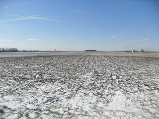 Property photo 3 - 152+/- Acres Offered in 4 Tracts of Investment Quality Cropland and Farmland with Good Bins Auction